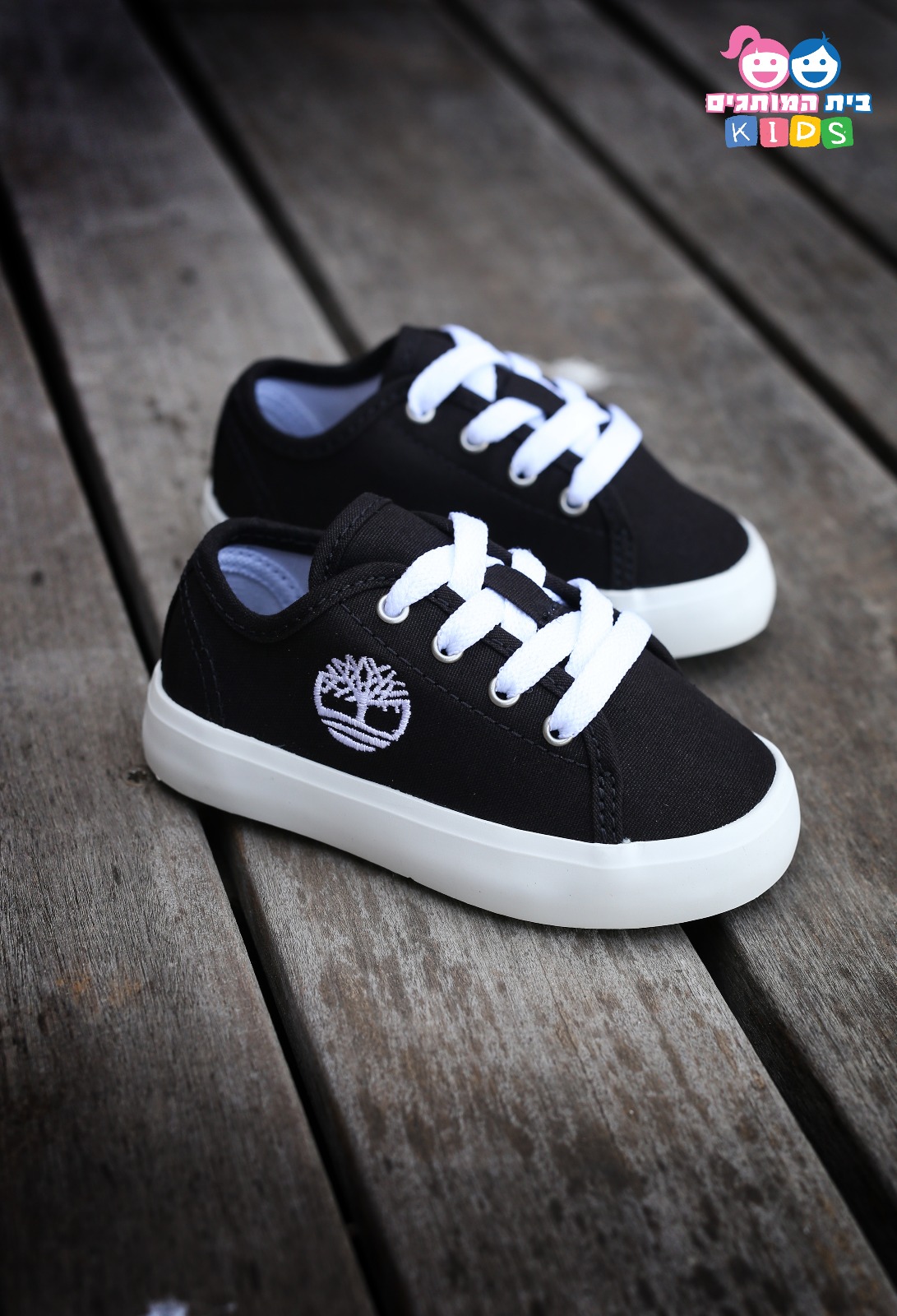 WhatsApp Image 2019-05-23 at 1.55.33 PM.jpeg.jpeg